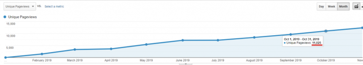 SEO CASE STUDY